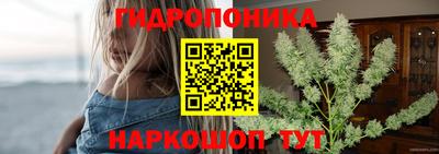 амф Краснознаменск
