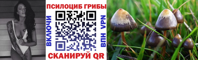Псилоцибиновые грибы ЛСД Железноводск