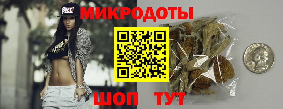 Галлюциногенные грибы Psilocybine cubensis Железноводск