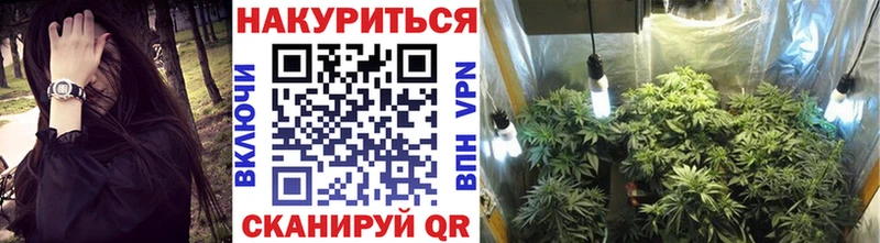 Канабис планчик Железноводск